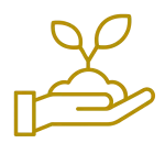 Energy icons planting trees